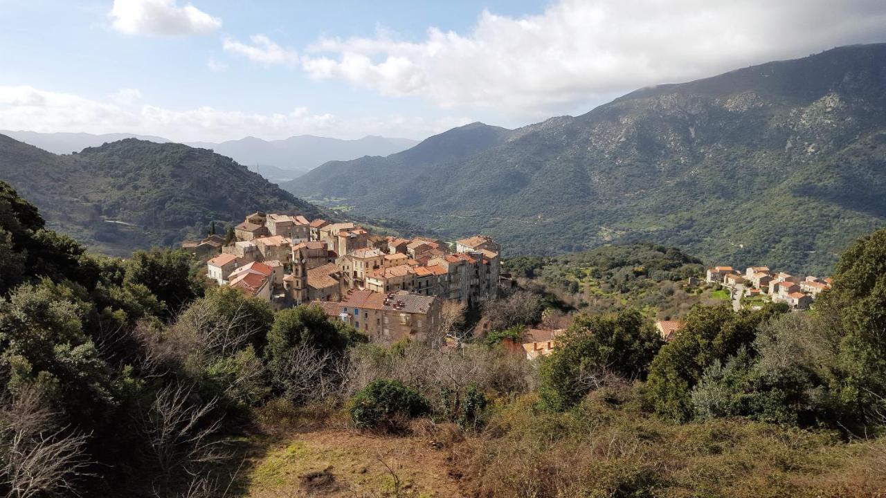 Casa Corsa Villa Santa-Lucia-di-Tallano Екстериор снимка